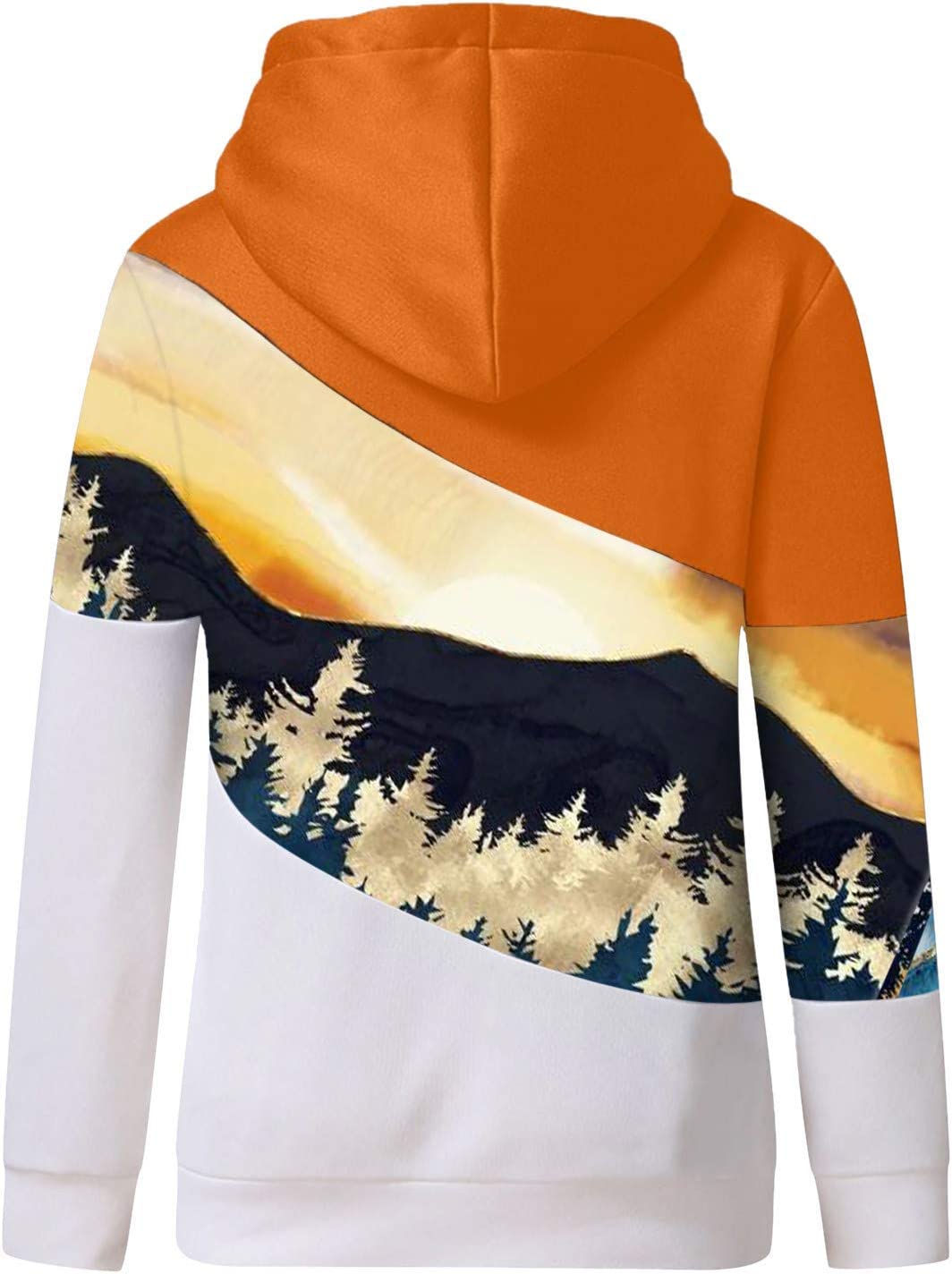 Berrykey Hoodies voor vrouwen, Cowl Neck Color Block Patchwork Herfst Hoodie Sweatshirts Warme Basic Womens Hoodie Pullover 1008-oranje XXL
