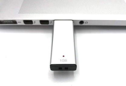 Nilox U2NIL1PPL002 PenDrive 2.0 with 1 GB Screen Print Capacity
