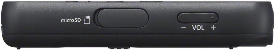 Sony ICD-PX370 Mono Digital Voice Recorder with Built-In USB, 4 GB Memory, SD Memory Slot, 55 Hours Recording & Amazon Basics AAA Performance Alkaline Batteries  - Packaging May Vary