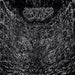Bestial Death Metal