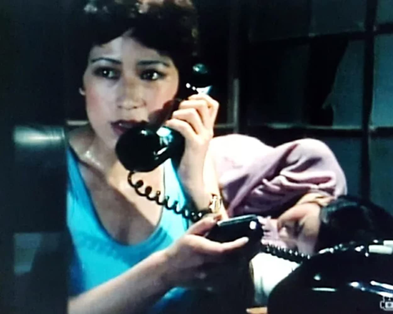 Chefinspektor Kaga - Flughafenpolizei Tokio, Vol. 2 / Weitere 13 Folgen der japanischen Kult-Krimiserie (Pidax Serien-Klassiker)
