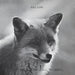 Uppsala Stadshotell Brinner (Vinyl LP)