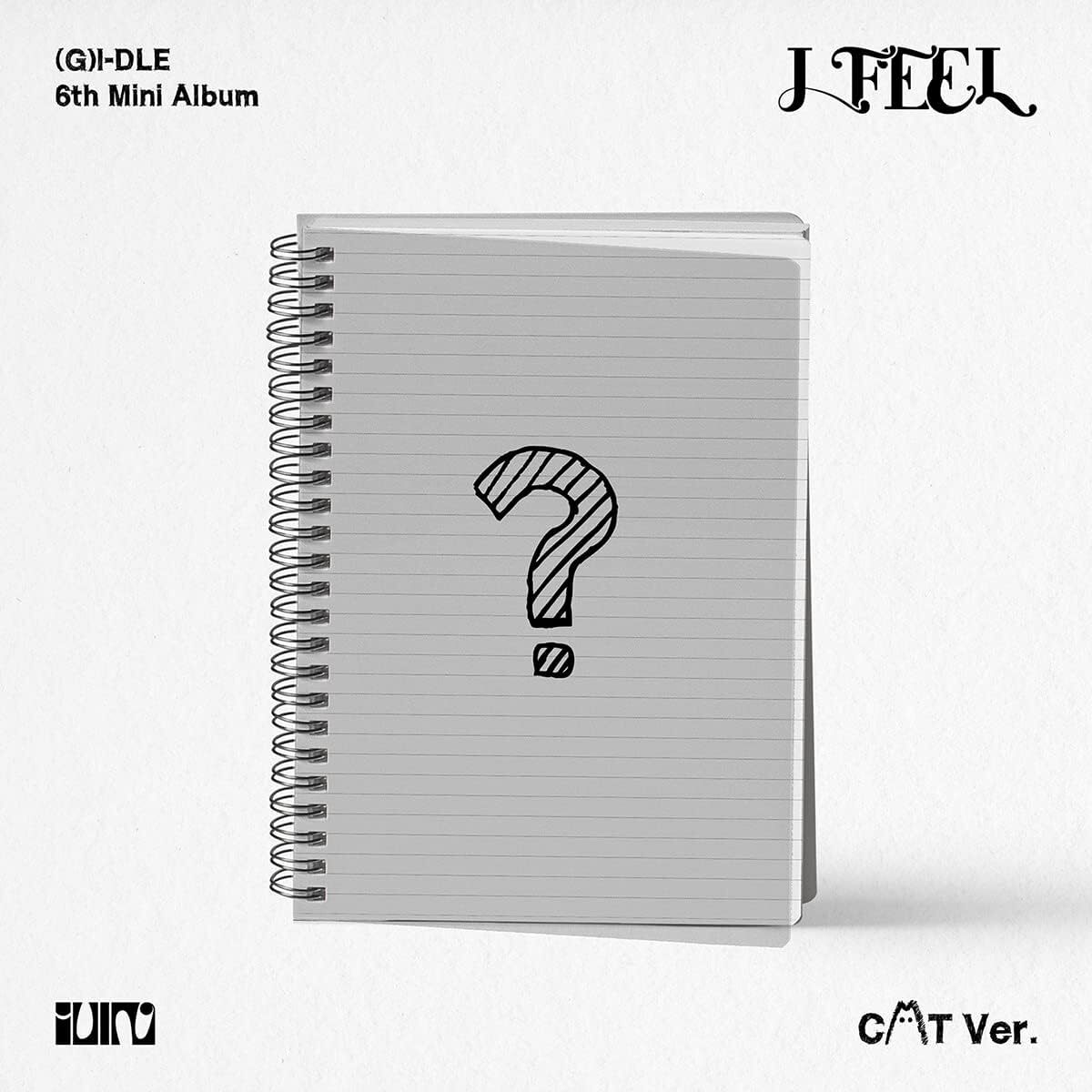 I Feel - Cat Version