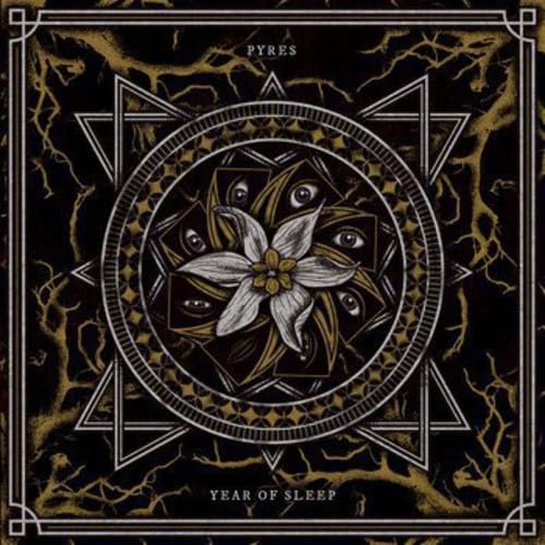 Year of Sleep