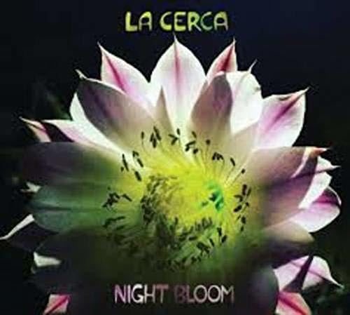 Night Bloom