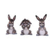 Nemesis Now Three Wise Donkeys - Trío de Figuras de Burro (11 cm), Resina, Gris, mercancía Animal, fundida en la Mejor Resina, Pintada a Mano
