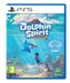 Dolphin Spirit: Ocean Mission