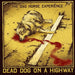 Dead Dog on a Highway