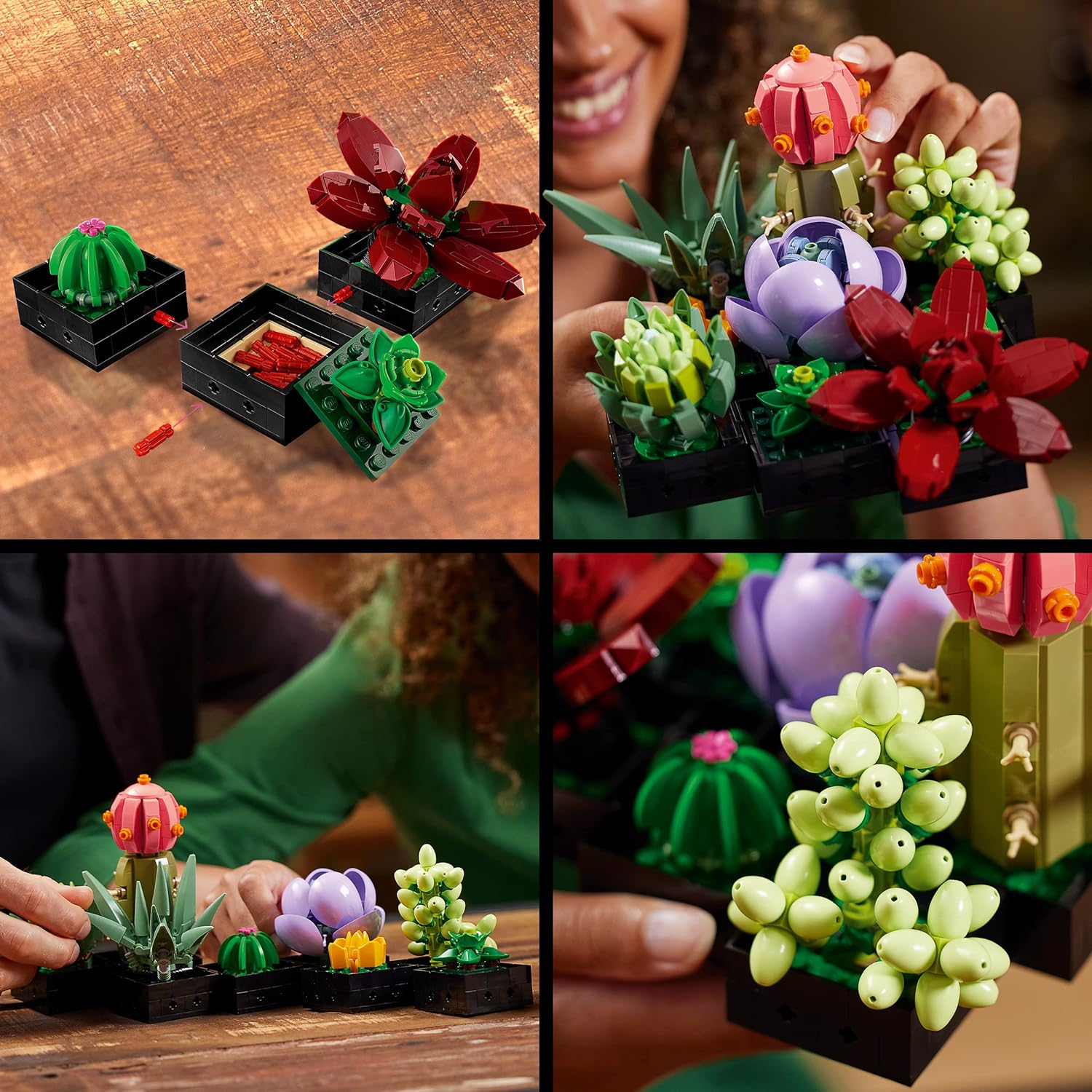 LEGO 10309 Icons Succulents Artificial Plants Set for Adults, Home Décor, Creative Hobby, Gift Idea for Her & Him, Botanical Collection (Build 9 Small Plants), Flower Bouquet Kit Succulent Single