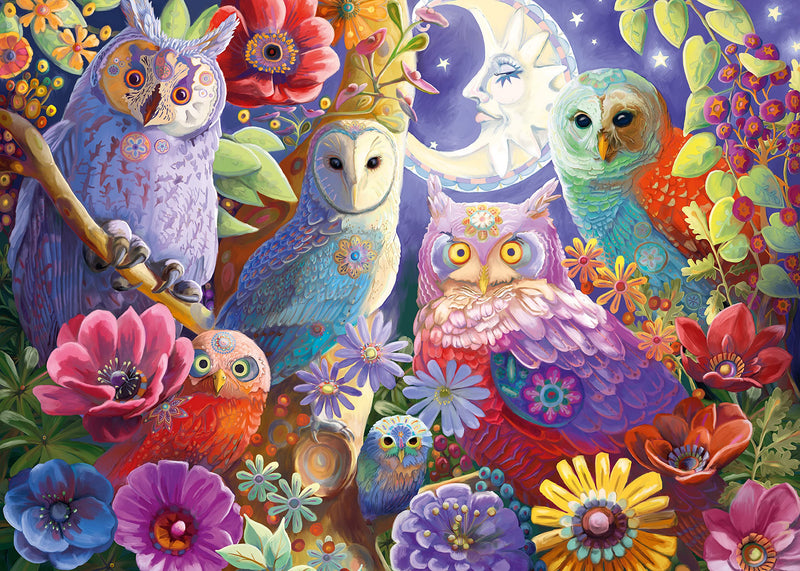 Ravensburger Schitterende Nachtuilen (300 XL