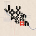 Joy in Variation