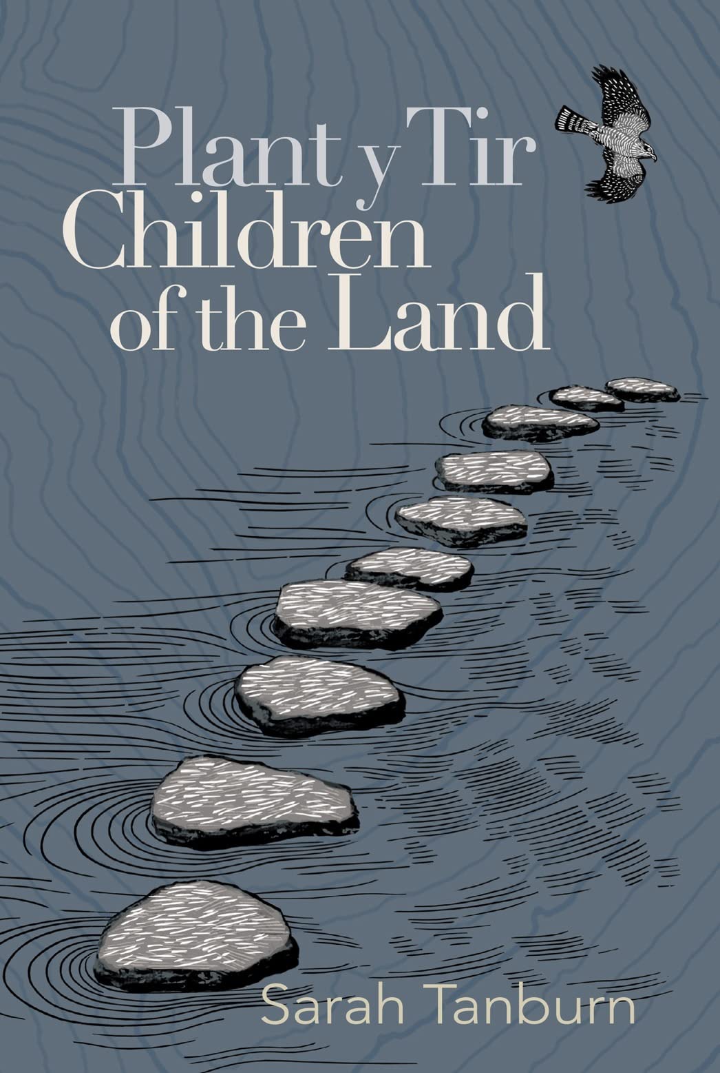 Plant Y Tir Children Of The Land