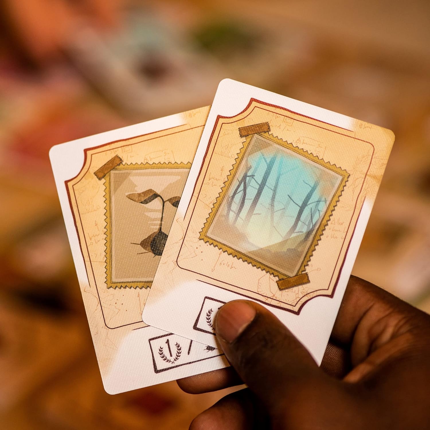 STUDIO H Vivarium | Board Game for Teens and Adults | Ages 10+ | 2 to 4 Players | 30 Minutes