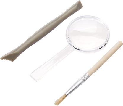 Boti - National Geographic Haaientanden Graaf Set