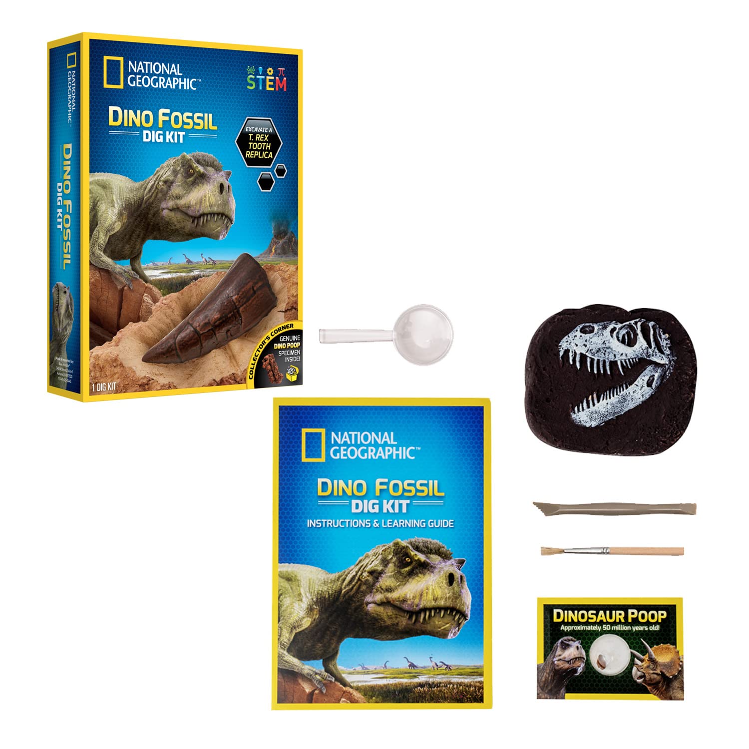 NATIONAL GEOGRAPHIC Bandai Kit di ispezione - 3 fossili di Dinosauro da estrarre - Gioco scientifico educativo - STEM - JM80568M