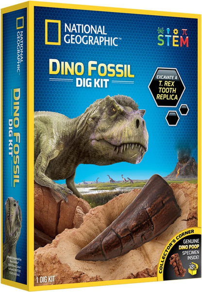 NATIONAL GEOGRAPHIC Bandai Kit di ispezione - 3 fossili di Dinosauro da estrarre - Gioco scientifico educativo - STEM - JM80568M