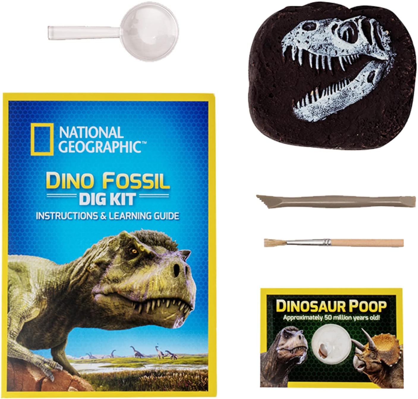 NATIONAL GEOGRAPHIC Bandai Kit di ispezione - 3 fossili di Dinosauro da estrarre - Gioco scientifico educativo - STEM - JM80568M