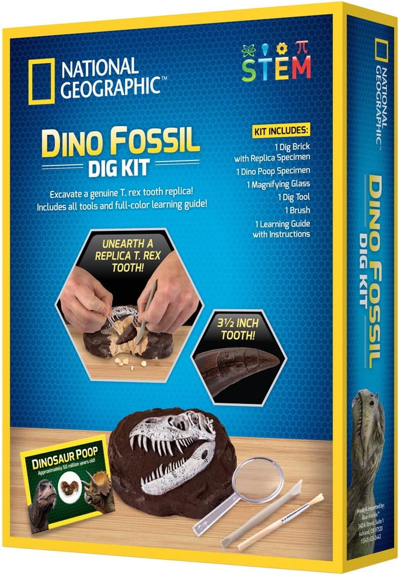 NATIONAL GEOGRAPHIC Bandai Kit di ispezione - 3 fossili di Dinosauro da estrarre - Gioco scientifico educativo - STEM - JM80568M