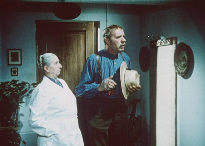 Die Landärztin (Filmjuwelen