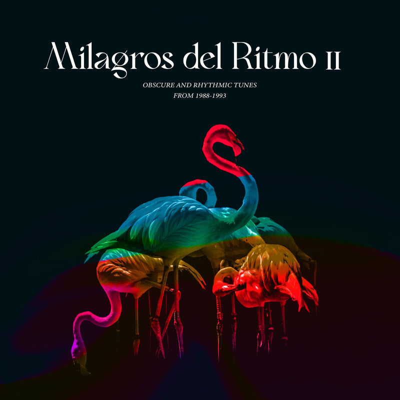 Jose Manuel Presents: Milagros Del Ritmo II: Obscure and Rhythmic Tunes from 1988-1993