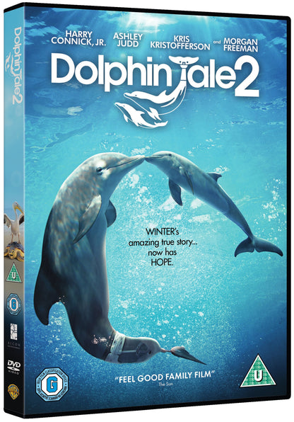 Dolphin Tale 2