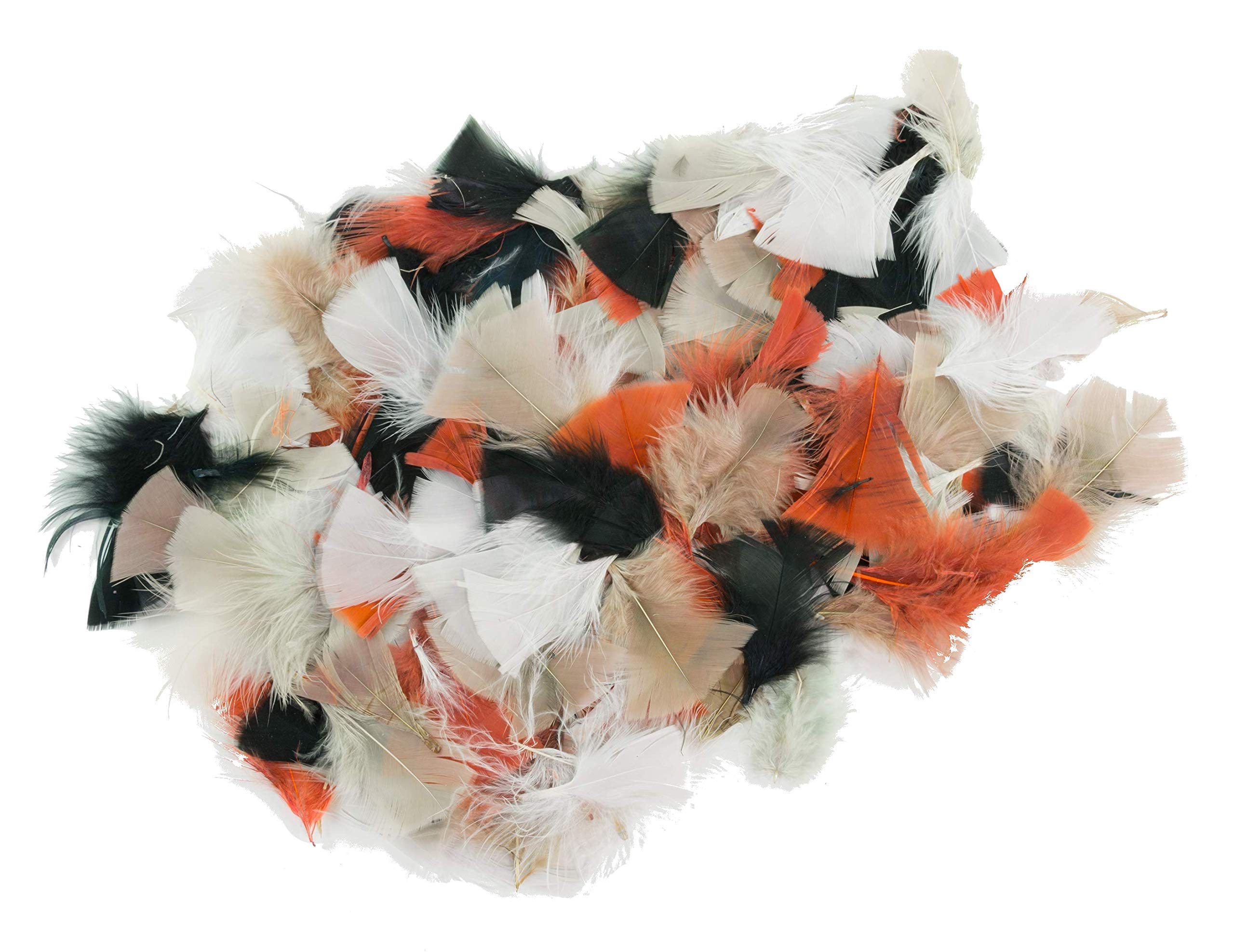 Natural Feathers - 3 oz
