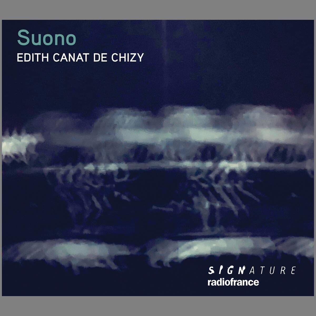Edith Canat De Chizy: Suono