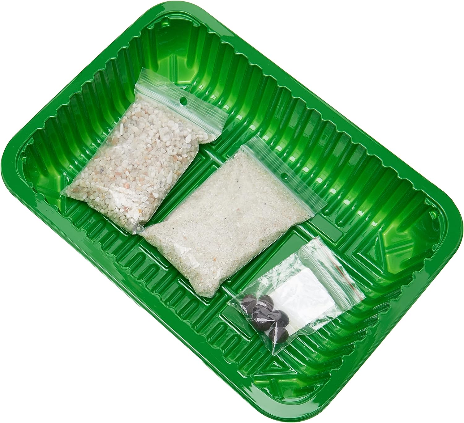Science 4 You Swamp Monsters, Gama Eco-Science, Kit Educativo Stem para niños a Partir de 8 años (SY618886.106