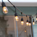 Lite Bulb Moments - Smart Light Chain - Vintage Edison