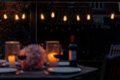 Lite Bulb Moments - Smart Light Chain - Vintage Edison