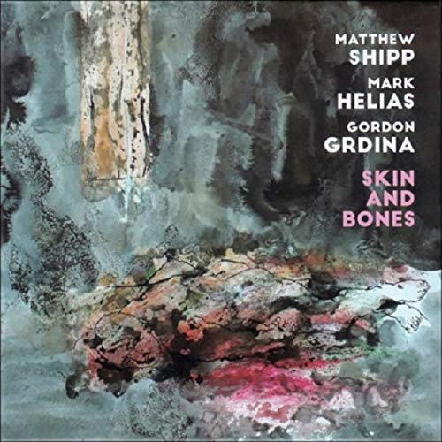 SKIN AND BONES-MATTHEW SHIPP / MARK HELIAS / GORDON GRD