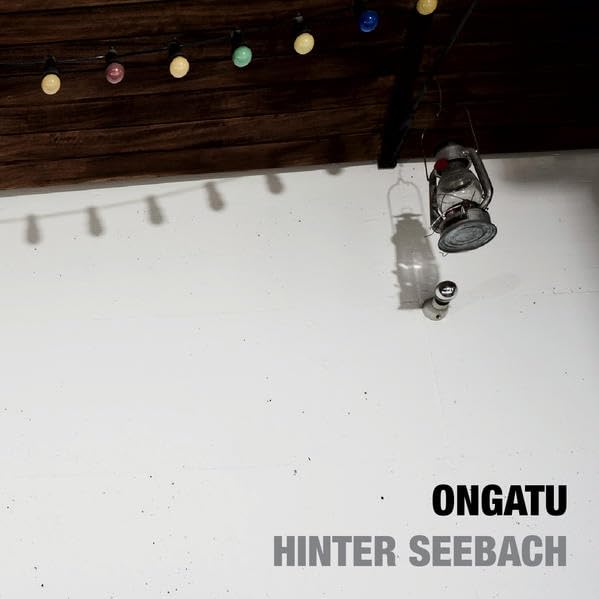 HINTER SEEBACH