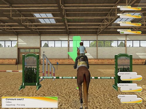 Star Deviens Champion D'equitation