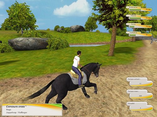 Star Deviens Champion D'equitation