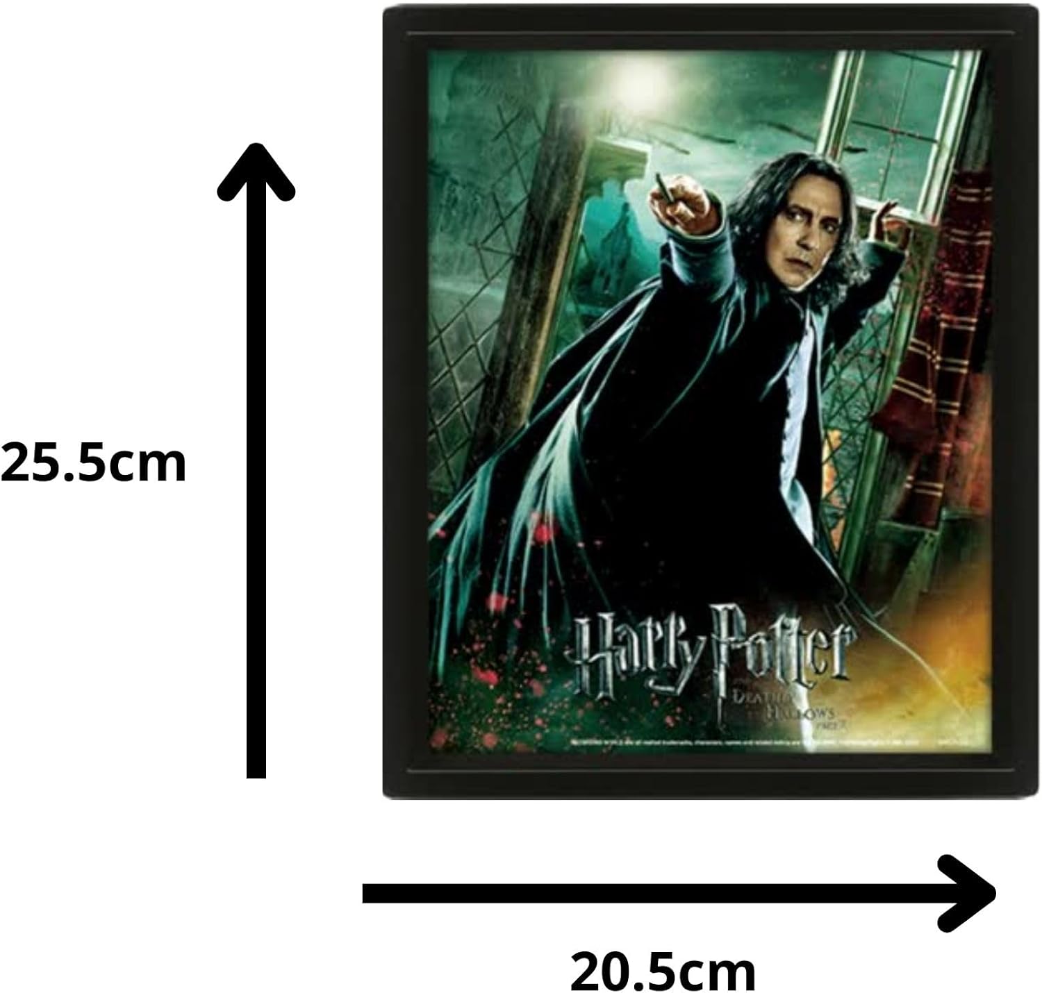 Harry Potter 3D Lenticular Poster of Deathly Hallows Snape 25cm x 20cm x 1.3cm in Box Frame - Official Merchandise