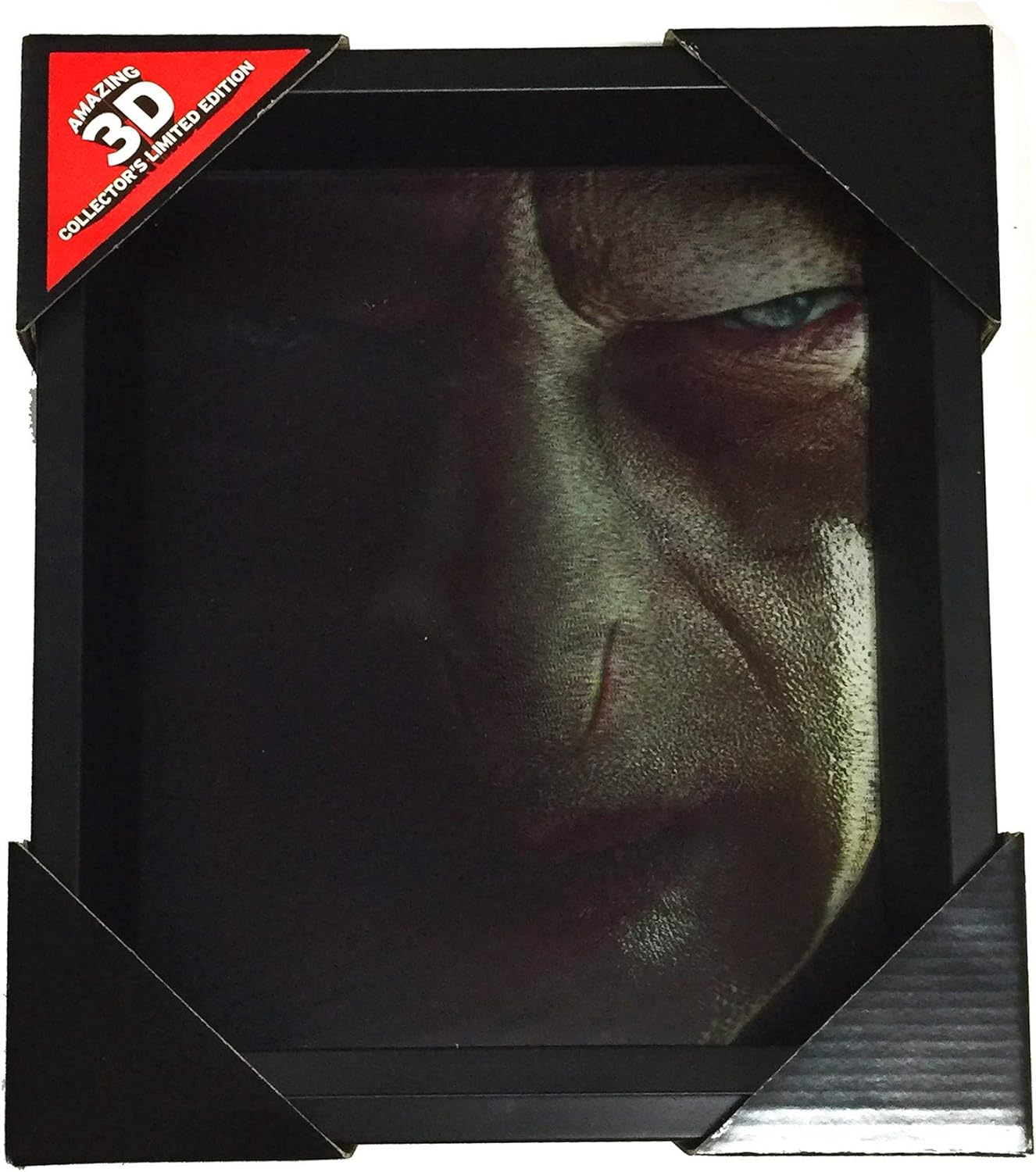 Pyramid HARRY POTTER CADRE 3D LENTICULAIRE HARRY VOLDEMORT FACES