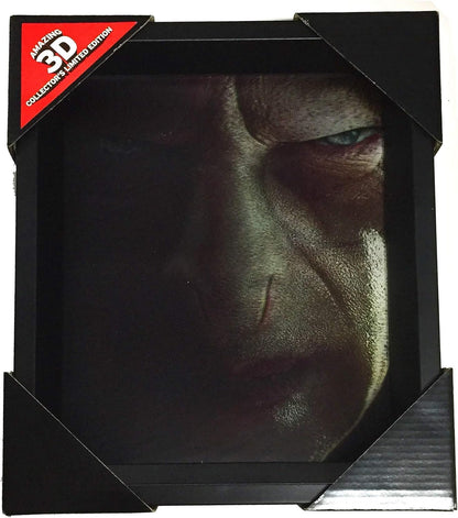 Pyramid HARRY POTTER CADRE 3D LENTICULAIRE HARRY VOLDEMORT FACES
