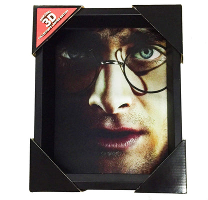 Pyramid HARRY POTTER CADRE 3D LENTICULAIRE HARRY VOLDEMORT FACES