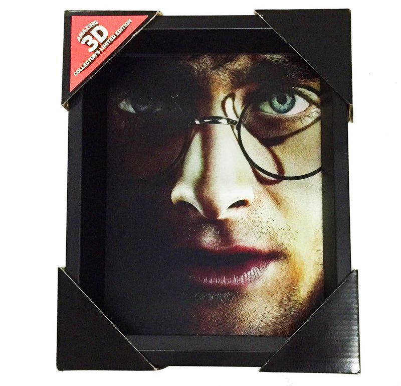 Pyramid HARRY POTTER CADRE 3D LENTICULAIRE HARRY VOLDEMORT FACES
