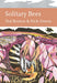Solitary Bees_Nn Lib Om Hb