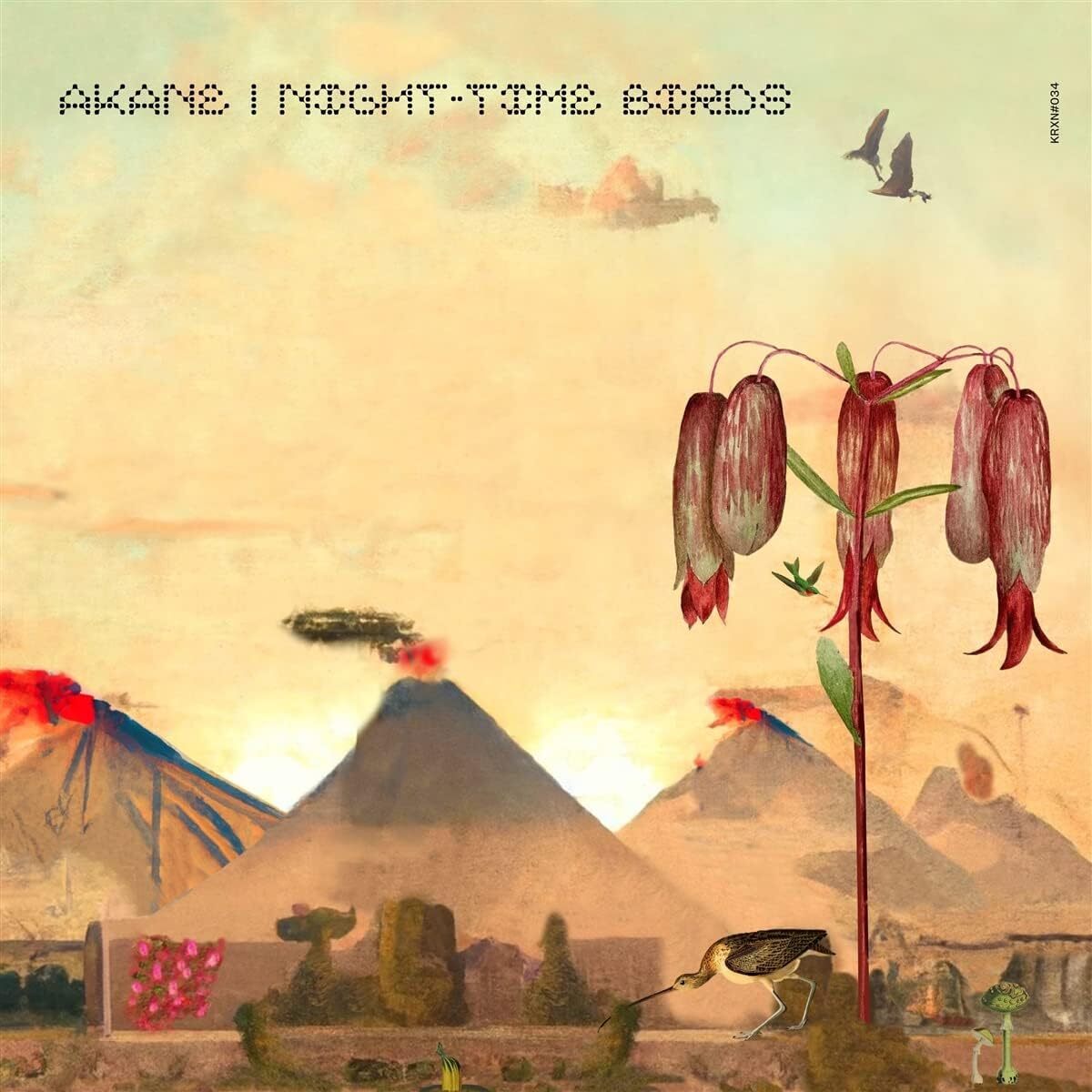 Night-time Birds