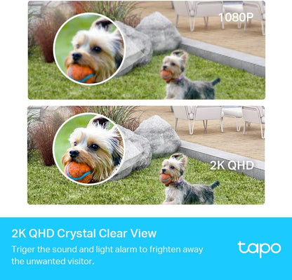 Tapo C420S2 V1 - 2 X Tapo C420 Cameras + Tapo H200 Hub - Network Surveillance Camera - Outdoor, Indoor - Dust Resistant