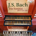 J.S. Bach: Trio Sonatas, BWV525-530