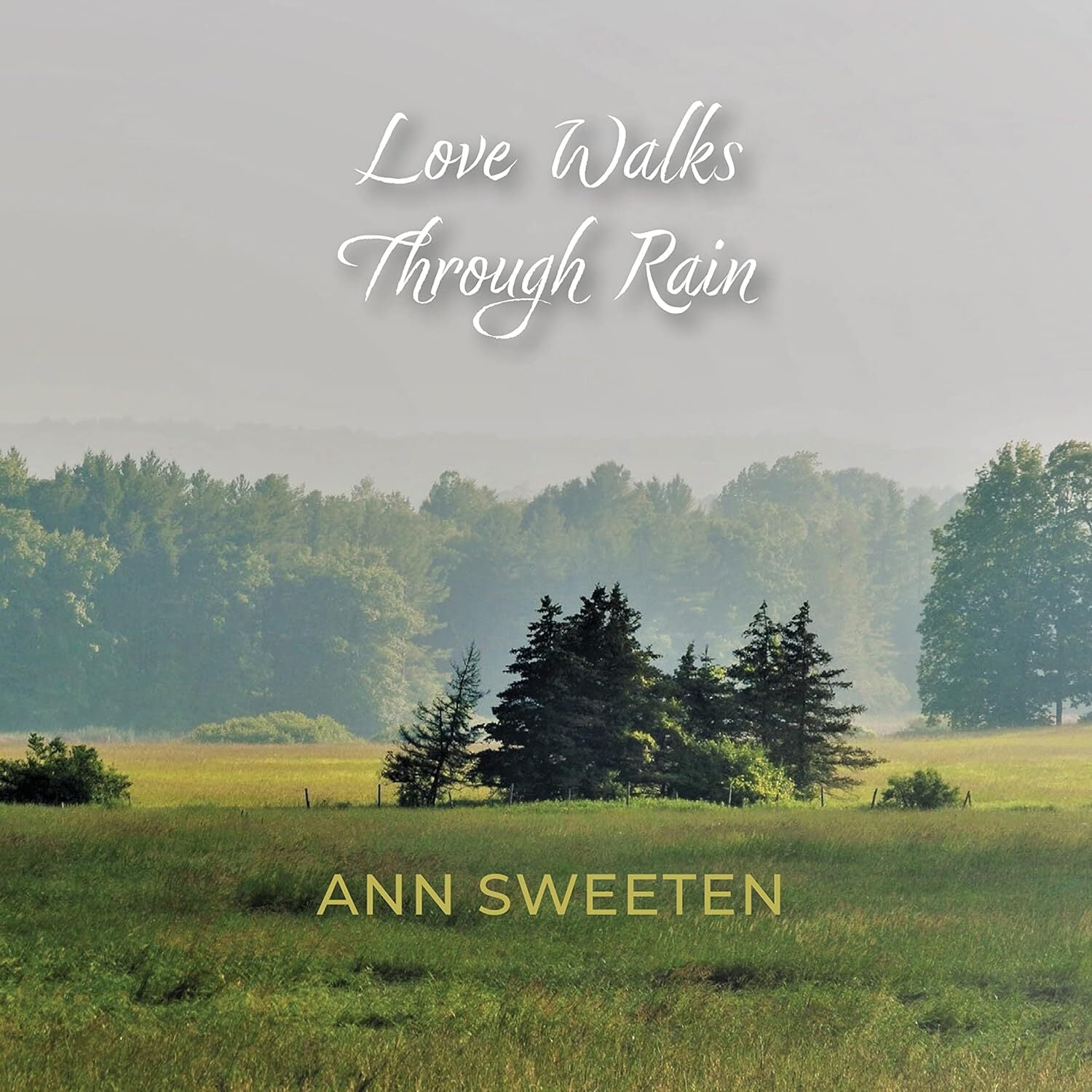 Love Walks Through Rain