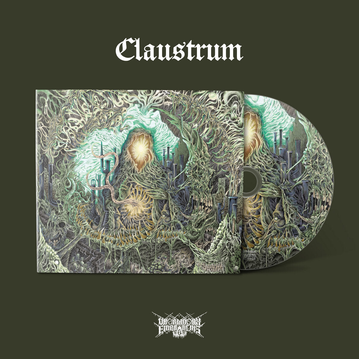 Claustrum