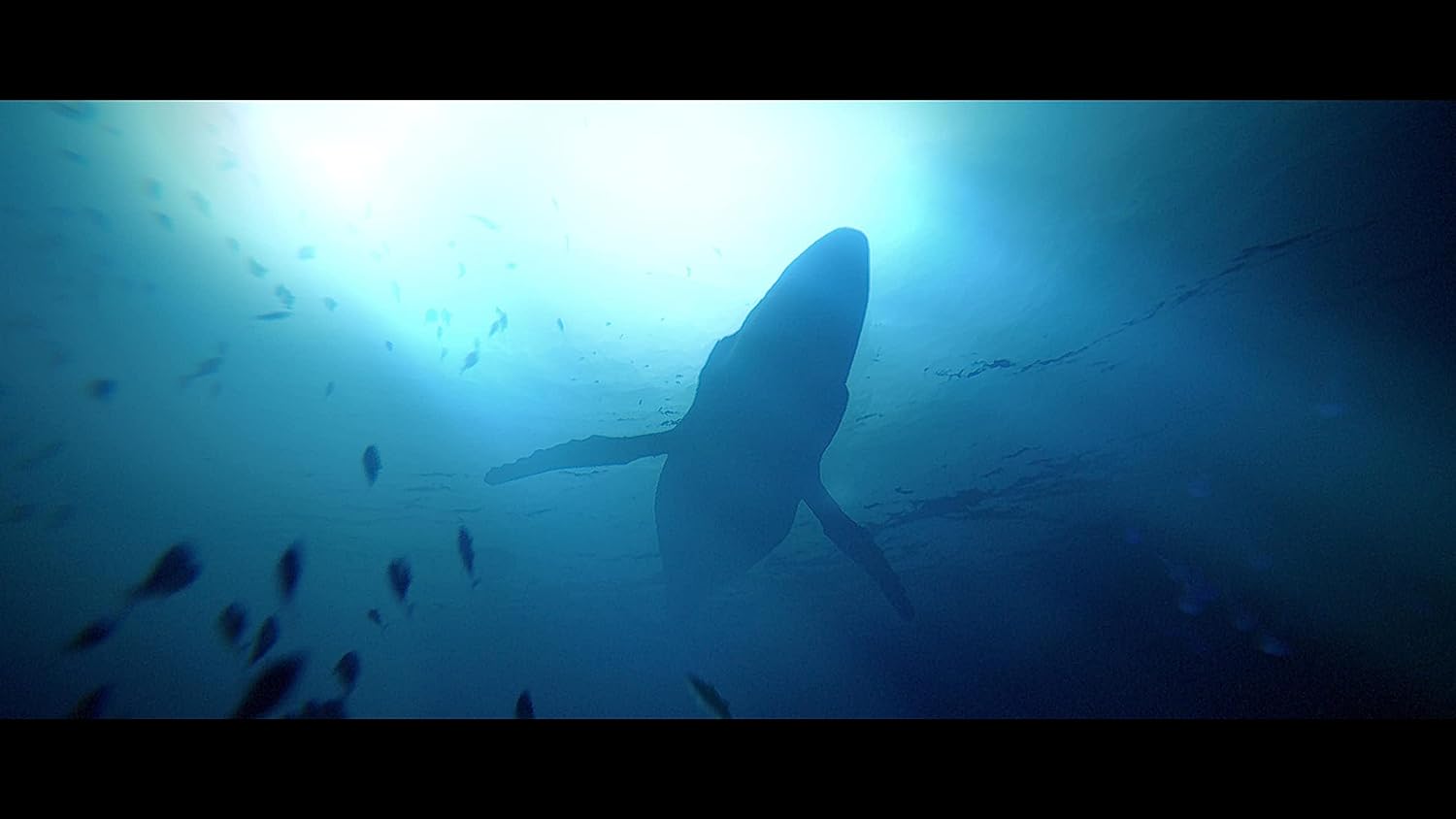 Under The Waves (Playstation 4)
