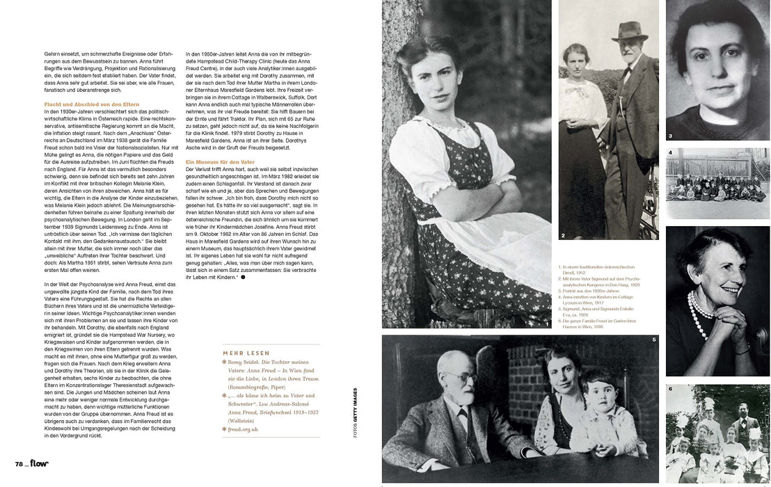 Flow Nummer 74 (4/2023) - (German Import)