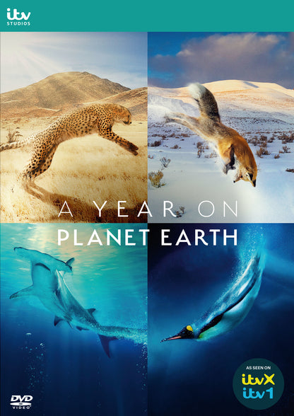 A Year On Planet Earth