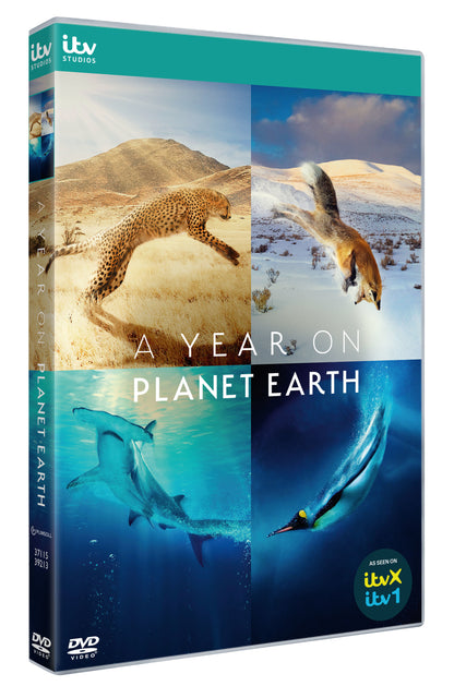 A Year On Planet Earth