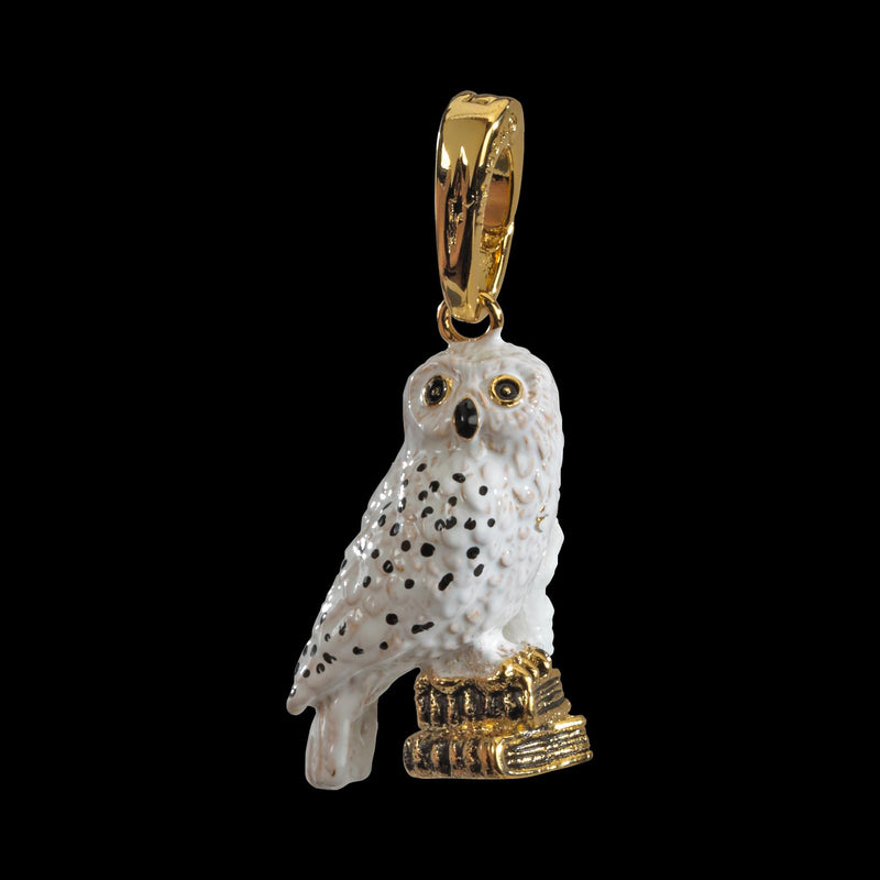 Noble Collections NN1022 HARRY POTTER Collectible, Multicolour